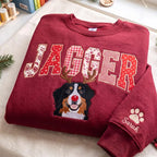 Custom Pet Face Embroidered Sweatshirt — Red Nose Reindeer & Patchwork Applique Name